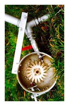 Turbina